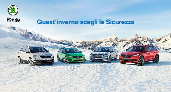 Ruote complete e Pneumatici Invernali Škoda Firenze