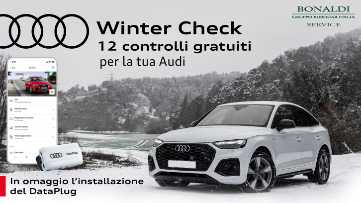 Audi Winter Check 