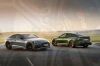 Promozioni Audi RS